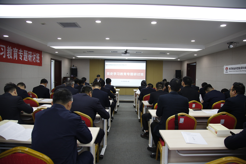 新型能源公司召開黨史學習專題研討班配圖1.png