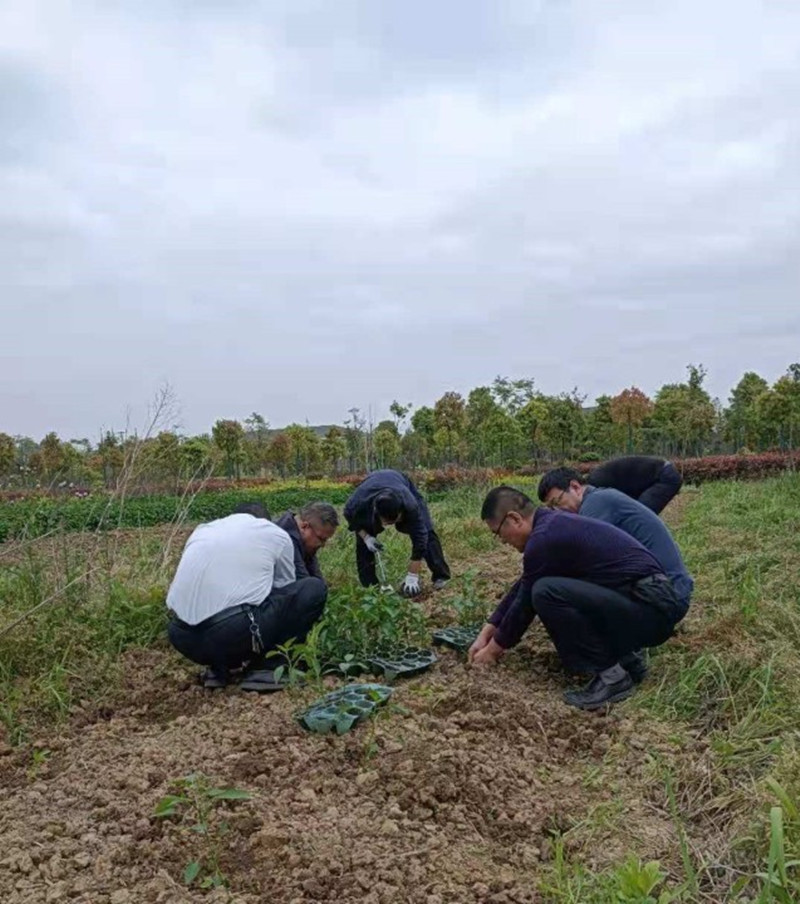 圖片1.jpg 圖片1.jpg