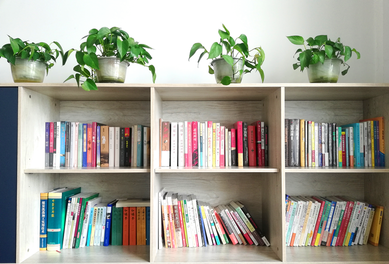 選煤公司:為職工辦實事,架起真情“連心橋”