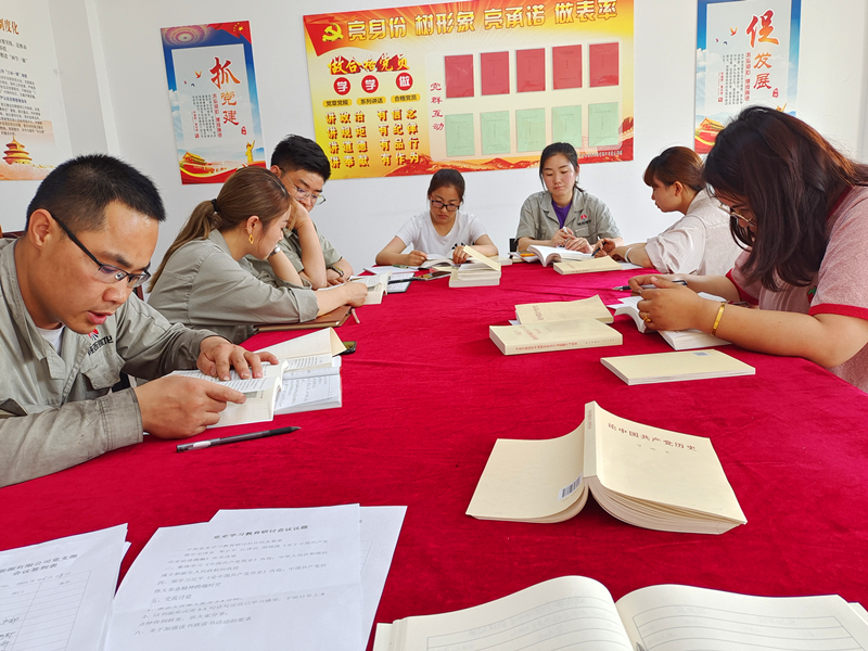 寧夏鑫爾特公司黨支部開展黨史學習研討會2.png 寧夏鑫爾特公司黨支部開展黨史學習研討會2.png