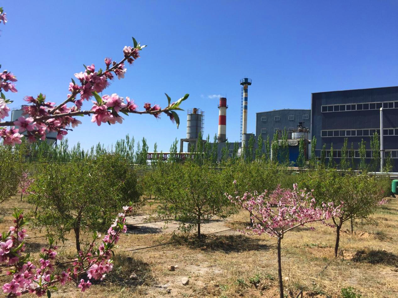 圖片 1.png 圖片 1.png