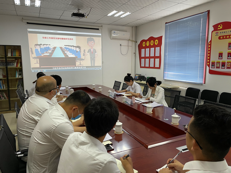 三原公司黨支部黨史專題組織生活會召開-配圖.png 三原公司黨支部黨史專題組織生活會召開-配圖.png