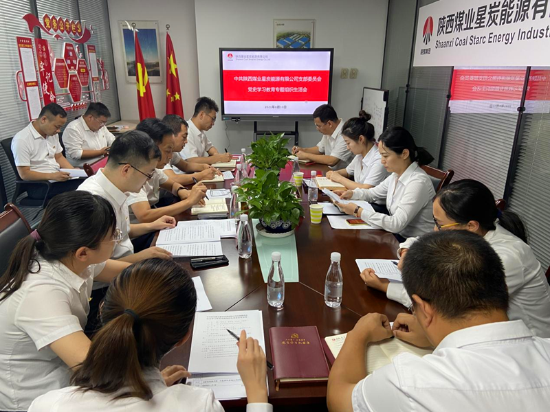 星炭公司黨支部召開黨史學習教育專題組織生活會-配圖.png 星炭公司黨支部召開黨史學習教育專題組織生活會-配圖.png
