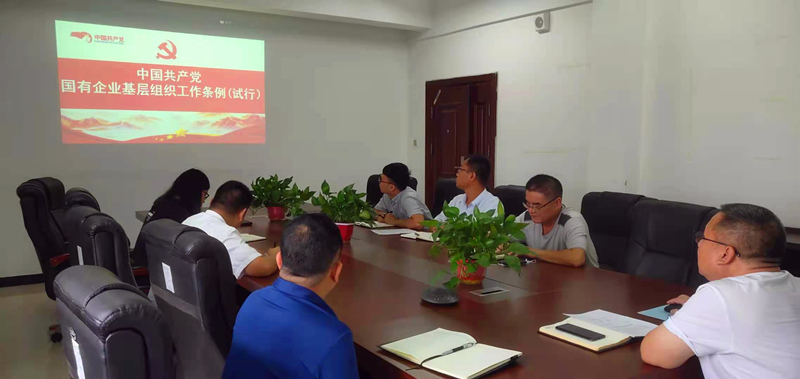 仙桃公司黨支部對《中國共產(chǎn)黨國有企業(yè)基層組織工作條例(試行)》進行再學(xué)習(xí)再落實.png