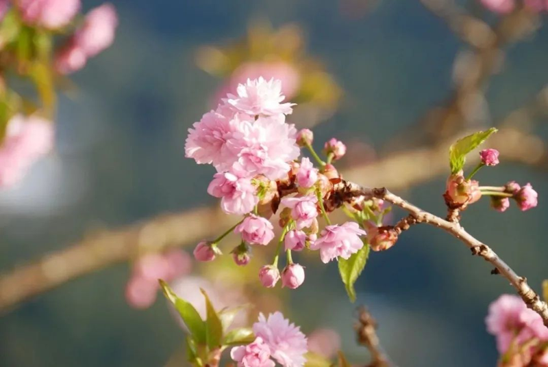 圖片 2.png 圖片 2.png