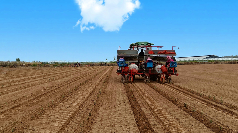 新型能源公司：創值增盈激活力，一季度營收利潤創新高