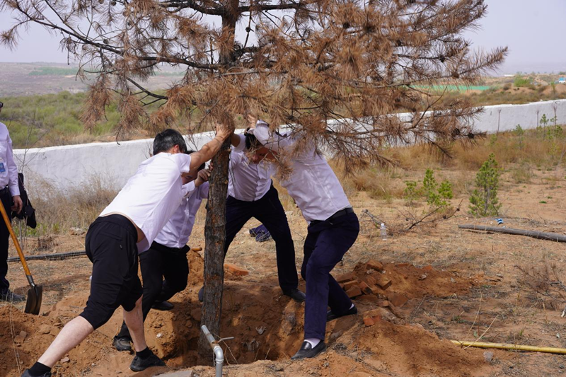 圖片 4.png 圖片 4.png