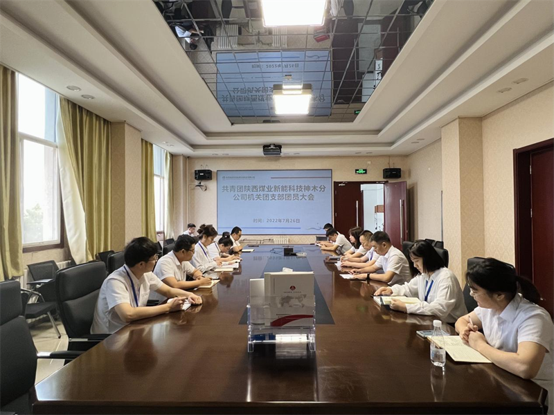 神木分公司機關團支部召開團員青年大會-1.png 神木分公司機關團支部召開團員青年大會-1.png