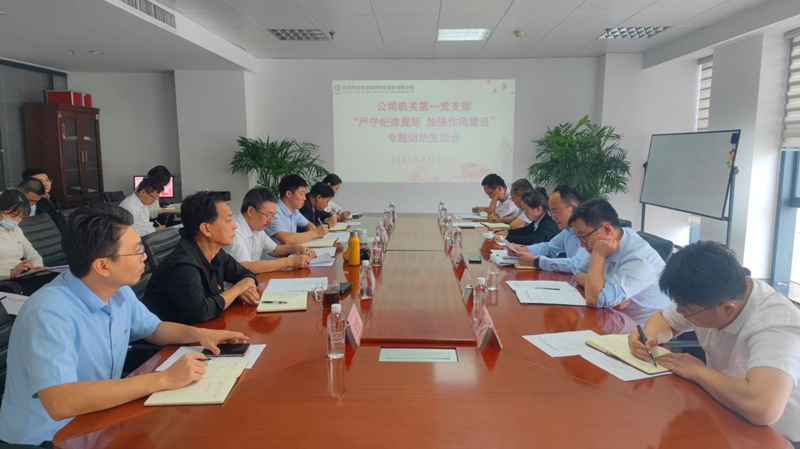 公司機關第一黨支部召開“嚴守紀律規矩 加強作風建設”專題組織生活會-1.png
