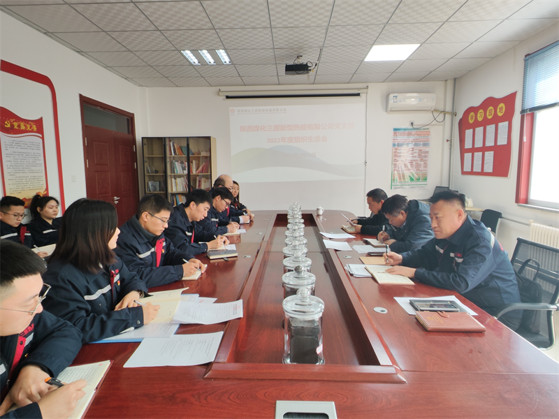 公司各基層黨組織召開(kāi)2022年度組織生活會(huì) 3.png