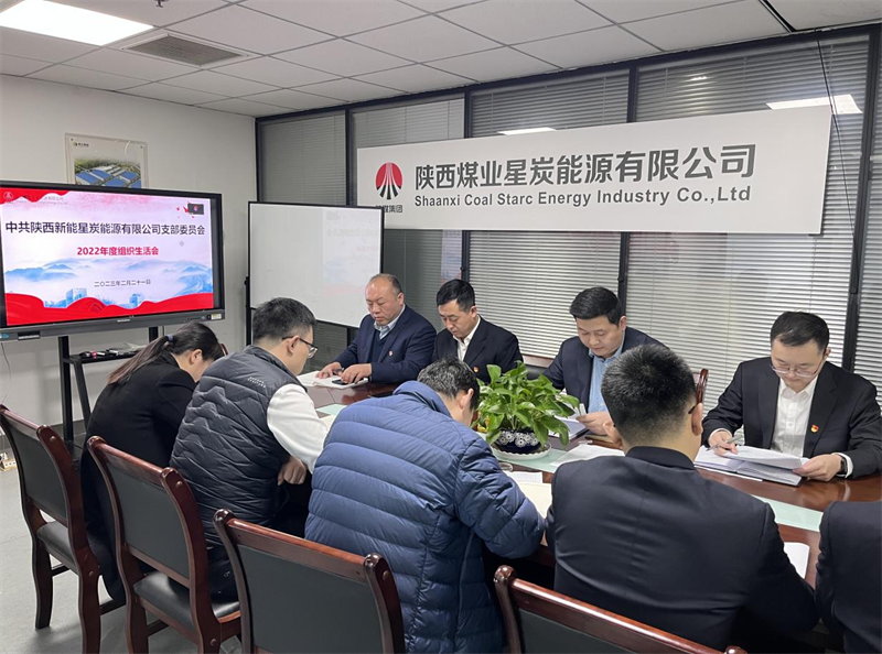 星炭公司黨支部召開2022年度組織生活會.png 星炭公司黨支部召開2022年度組織生活會.png