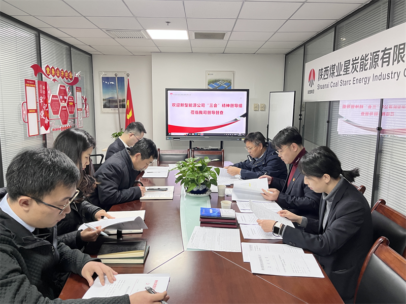 新型能源公司“三會”精神工作督導5.png
