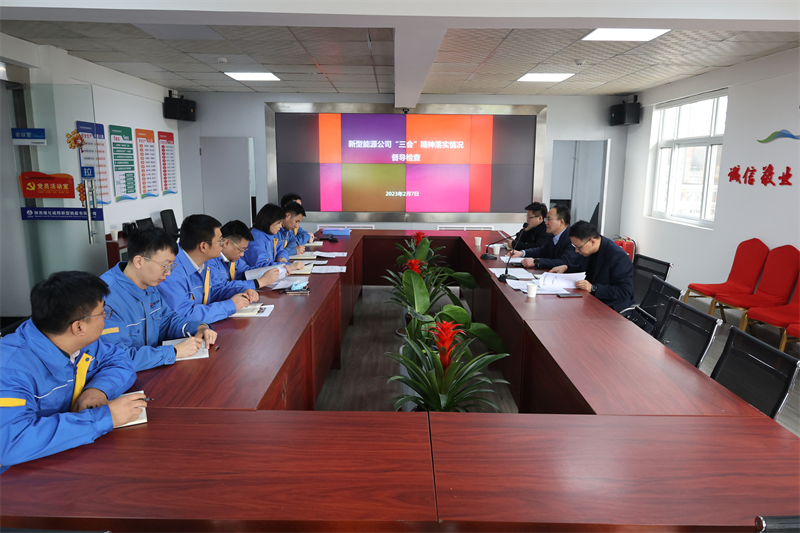 新型能源公司“三會”精神工作督導1.png