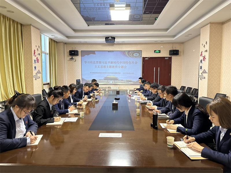 （二）公司所屬各單位迅速傳達學習新型能源公司主題教育動員會精神