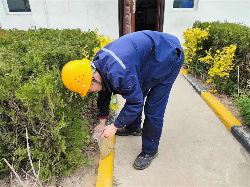 神木分公司曹家灘運營中心團支部開展“煙頭換禮,做文明青年”活動.png 神木分公司曹家灘運營中心團支部開展“煙頭換禮,做文明青年”活動.png