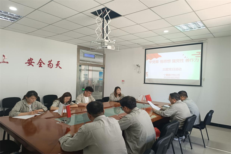 寧夏鑫爾特公司黨支部支組織開展“學黨章、悟思想、強黨性、善作為”主題黨日活動.png
