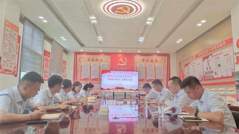 神木分公司綜合黨支部開展“強黨性，善作為”主題黨日活動.png