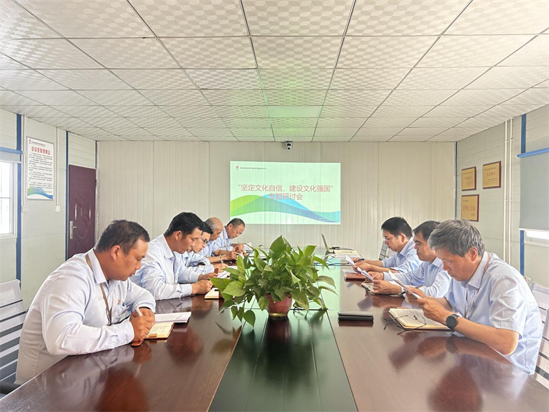 （三）公司所屬各單位開展堅定文化自信 建設文化強國專題研討