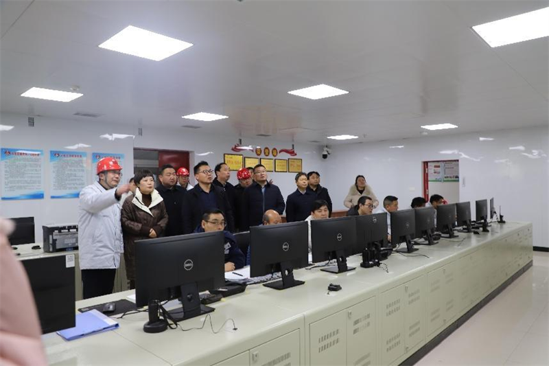 桐柏縣縣長許曉燕一行到淮源公司調研.png