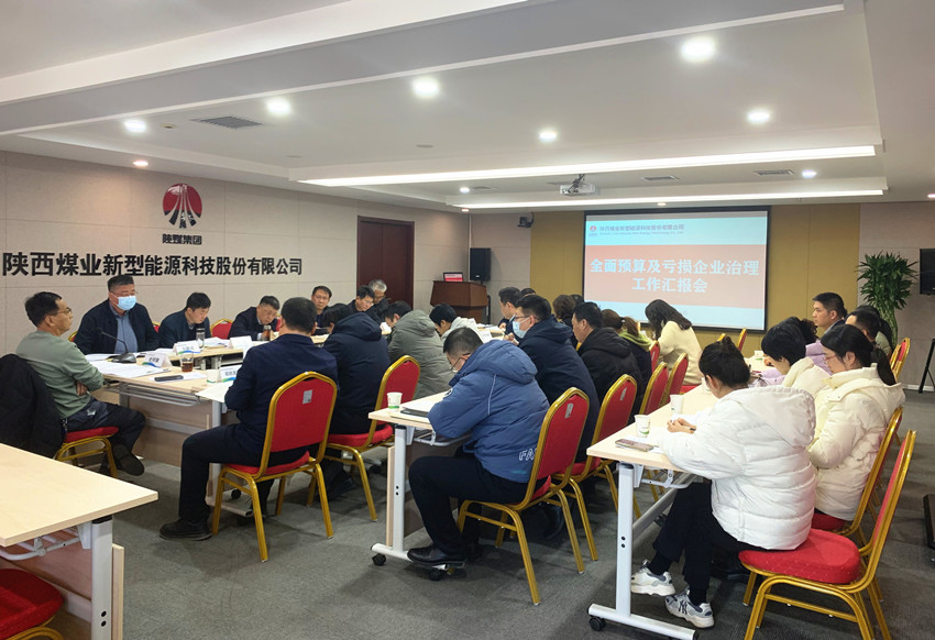 靶向發力 精準治虧 新型能源公司打好虧損治理“組合拳”.jpg