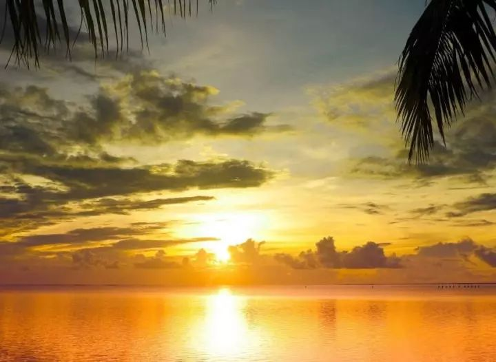 圖片8.png 圖片8.png