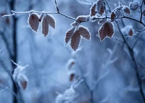 241729730274669451.jpg 8b0994a7b39b80b741461584bcecce6.jpg