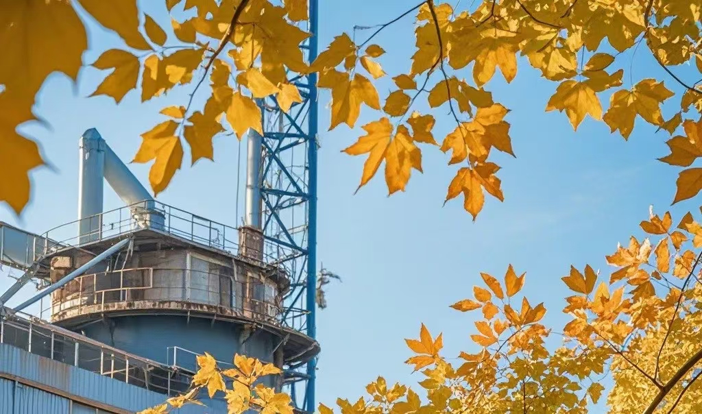 191731977091981270.jpg 微信圖片_20241119084057.jpg