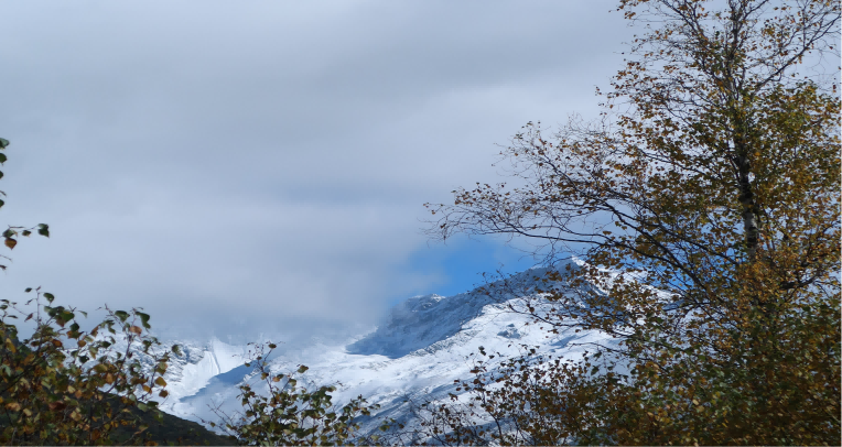 211732151529286523.png 圖片1(1).png