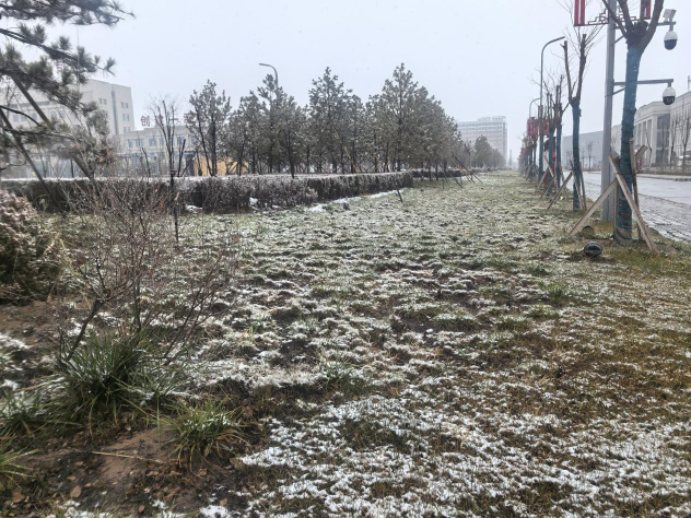 291732847580469809.png 圖片1(1).png