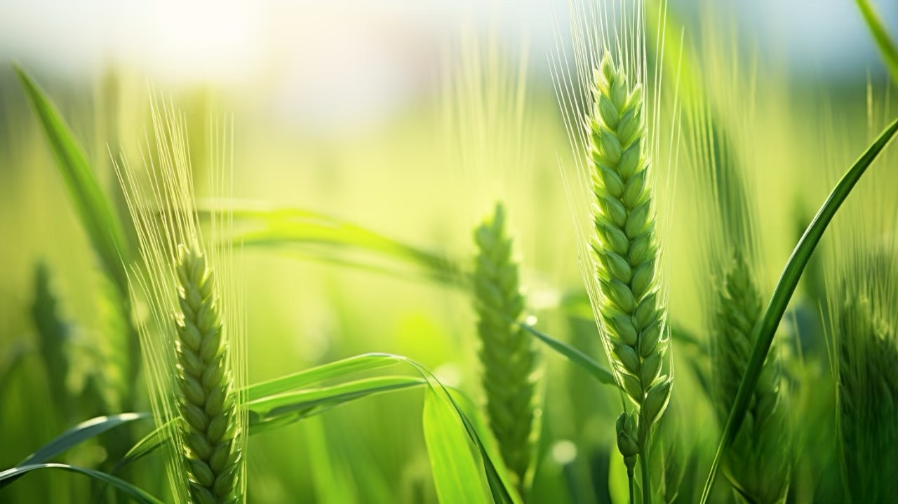 211747815726152160.png 5.21-圖片1.png