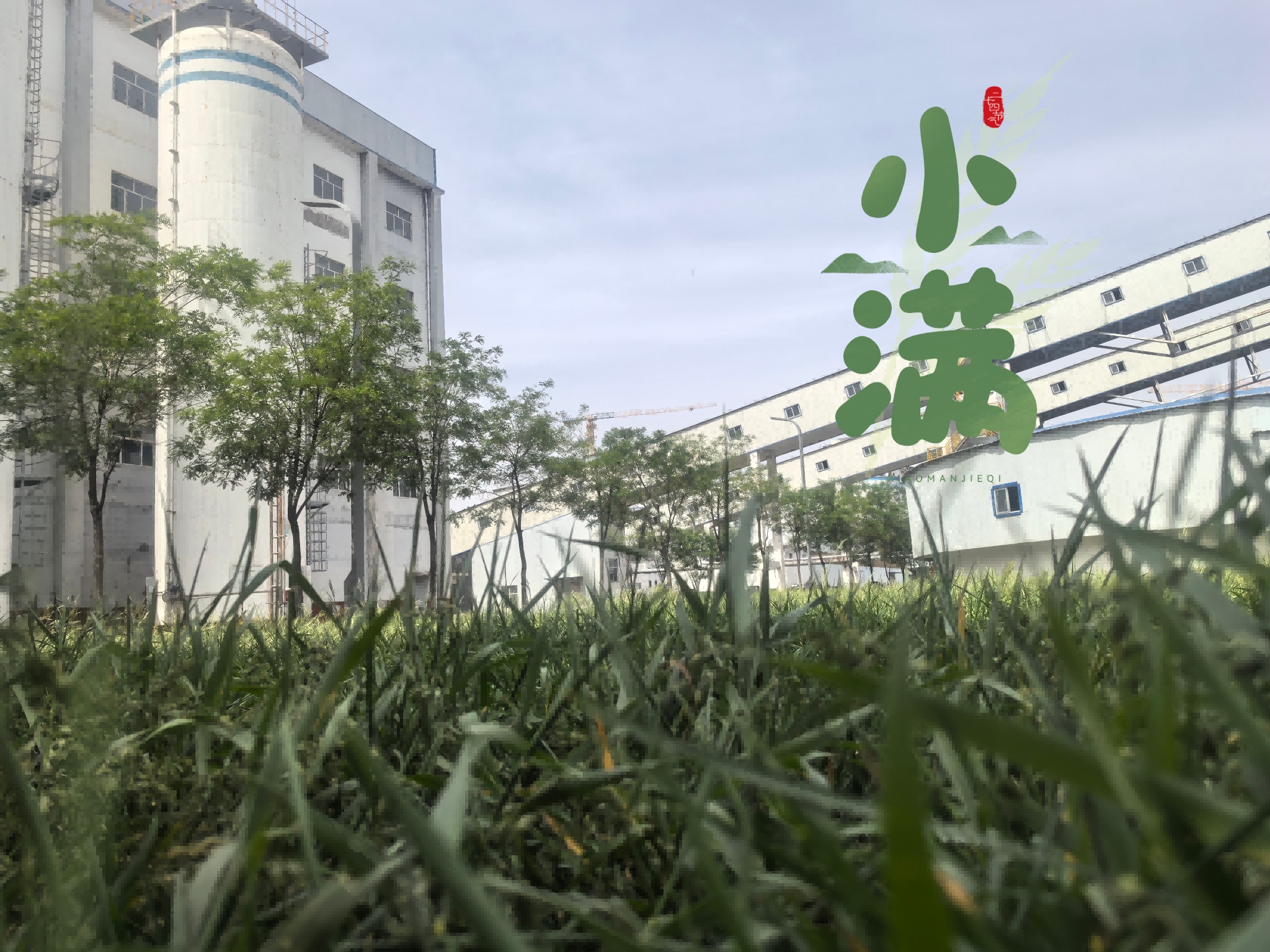 211747818003139495.png 5.21-圖片4(1).png