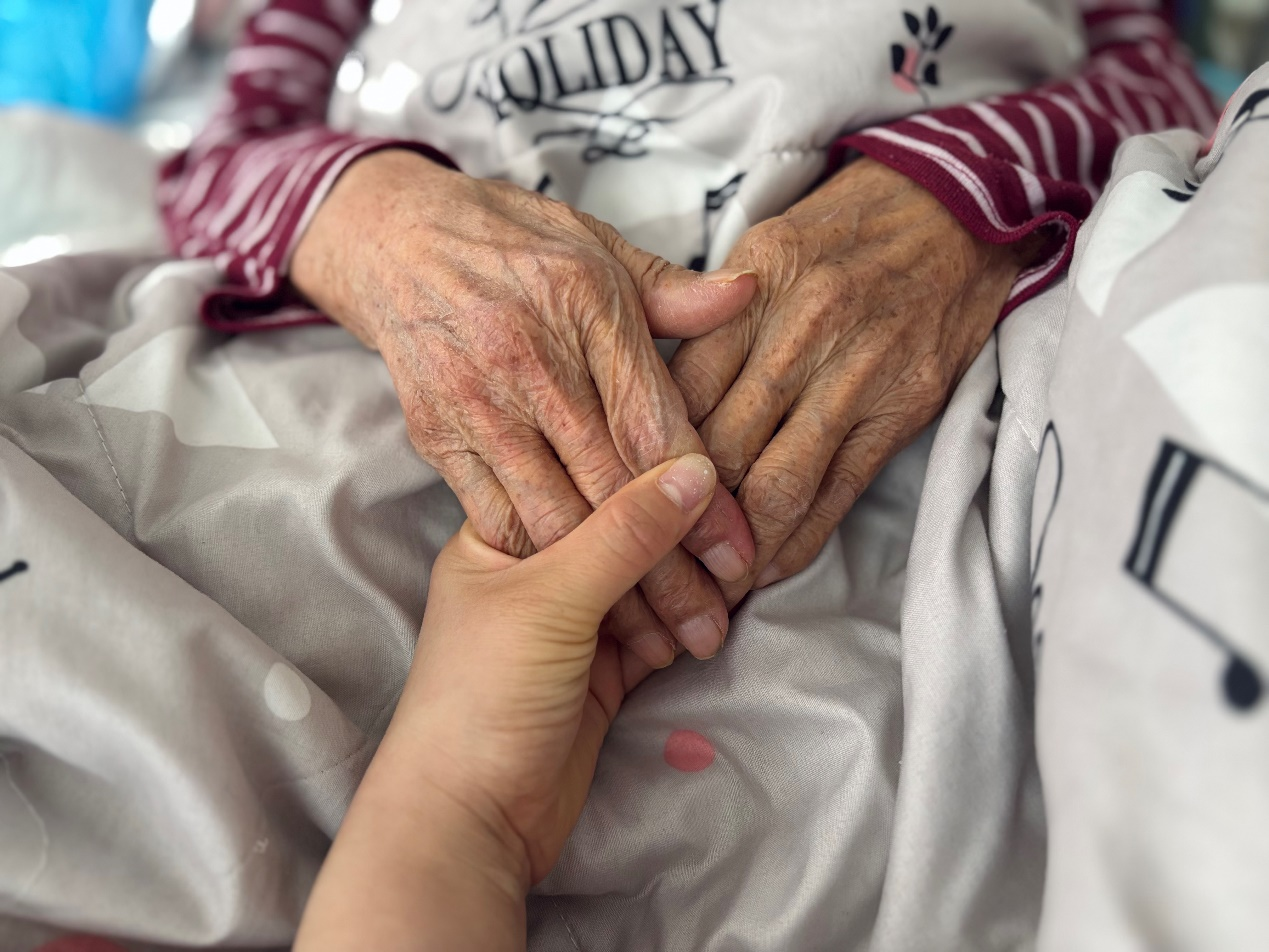 301748593968505907.png 粽葉“想”.png