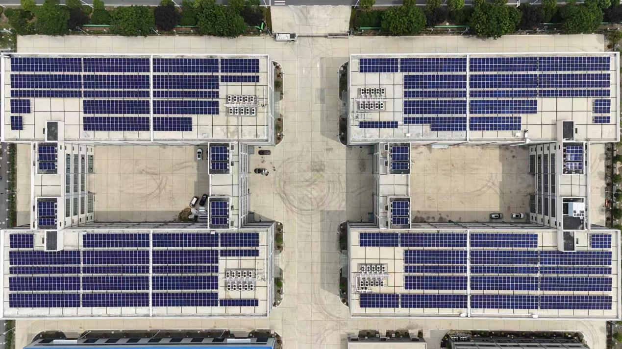 101749548585165985.png 圖片1.png