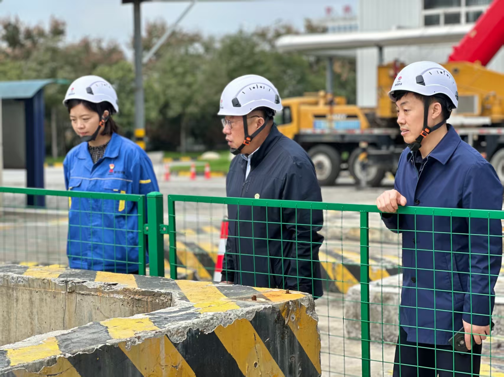 031759499752712697.jpg cf35597c7ea31302aa6d5d199d08a604.jpg