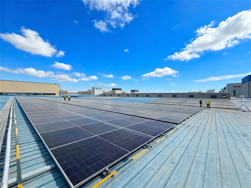 311761873533522501.png 圖片45.png