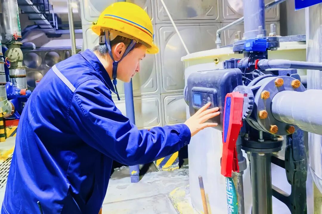 011764571210961167.jpg 神木3.jpg